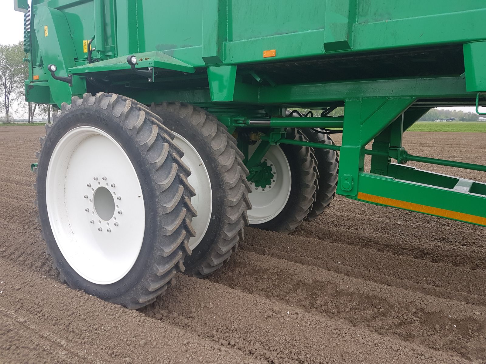 Brede banden van de groene verspreider op het veld